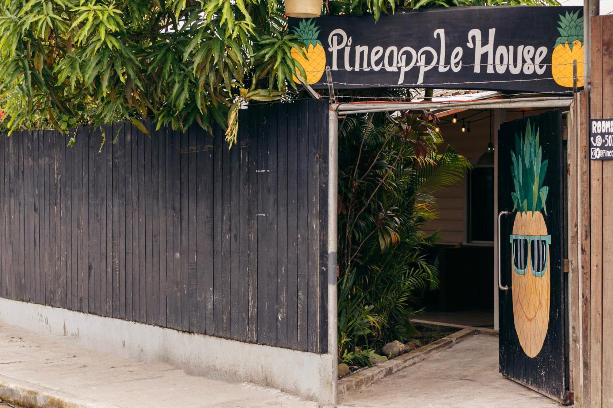 ホテル Pineapple House ボカス・タウン エクステリア 写真